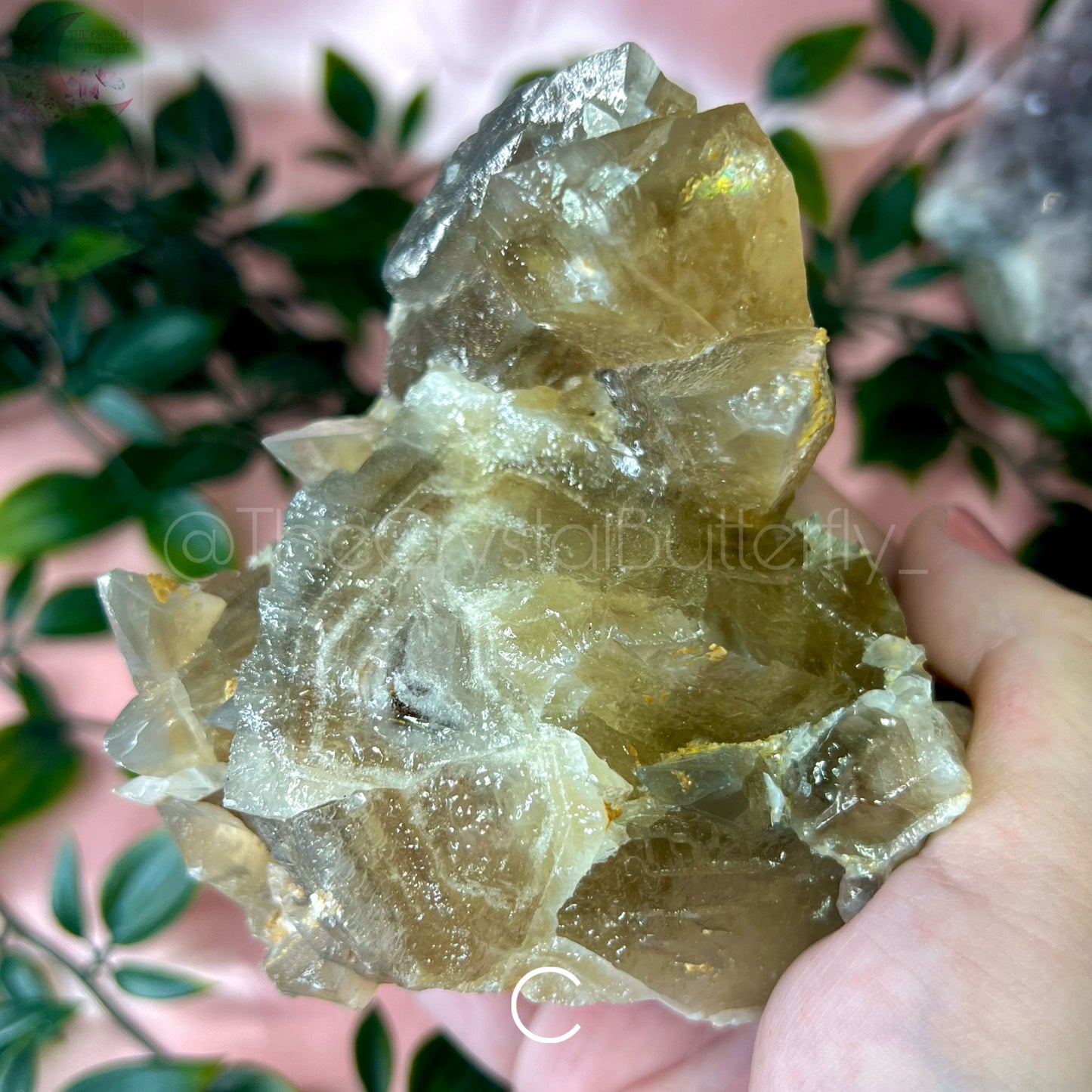 Dog Tooth Calcite Clusters