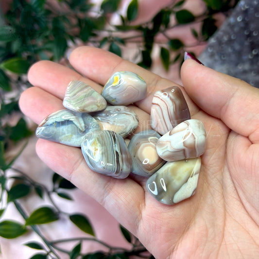 Pink Botswana Agate Tumble